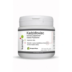 KENAY Boswellia Casperome Indena Phytosome (300 kapsler) - Viking Supplements