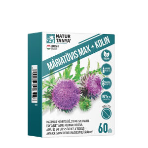 Natur Tanya Marietidsel Max + Kolin (60 tabletter) - Viking Supplements