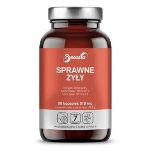 PANASEUS Efficient Veins (50 kapsler) – Viking Supplements