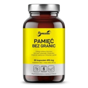 PANASEUS Hukommelse uden grænser (50 kapsler) - Viking Supplements