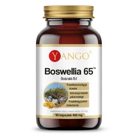 YANGO Boswellia 65 (90 kapsler) - Viking Supplements